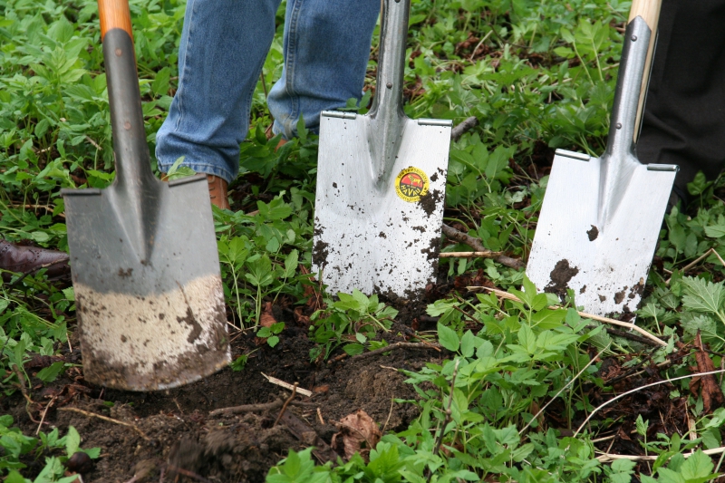 pepiniere-VALDEBLORE-min_work-lawn-flower-tool-green-backyard-1103633-pxhere.com